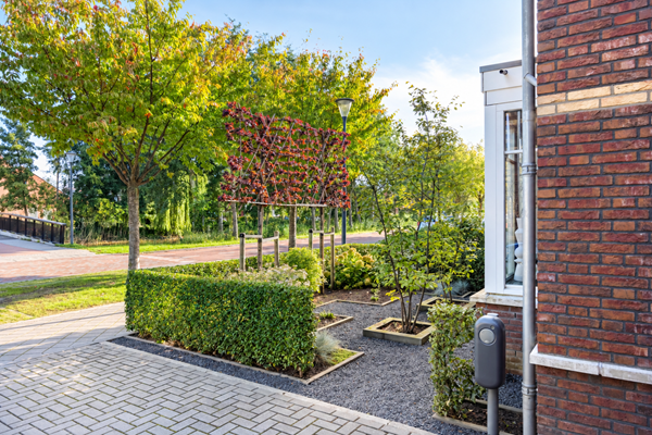 Waterhoen43907HBVeenendaal-09 bewerkt.png